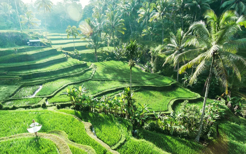 Ubud